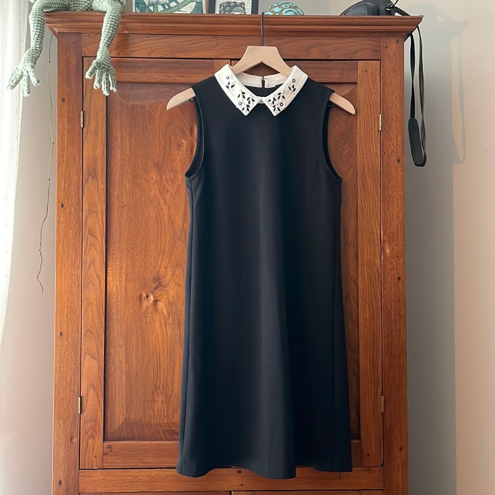 Ivanka Trump Collared Black and white mini dress